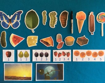 The very hungry caterpillar felt story//felt story numbers//flannel story realistic pictures//felt butterfly life cycle//felt board story