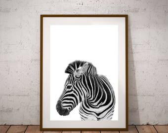 Zebra Wall Decor zebra wall decor | etsy Zebra Wall Decor zebra wall decor | etsy