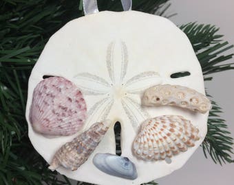 Real Sand Dollar and Seashell Shell Christmas Ornament #1002