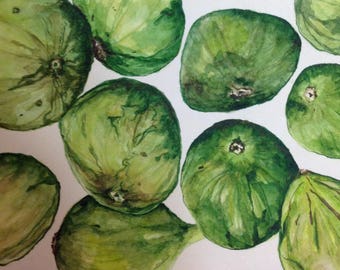 Watercolor figs