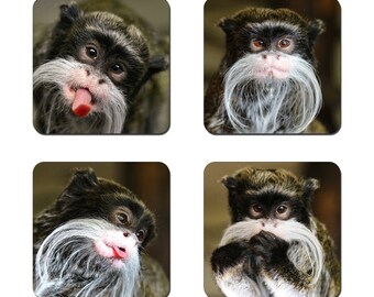 Set of 4 Cheeky Emperor Tamarin drinks coasters featuring award winning photography by UniquePhotoArts.