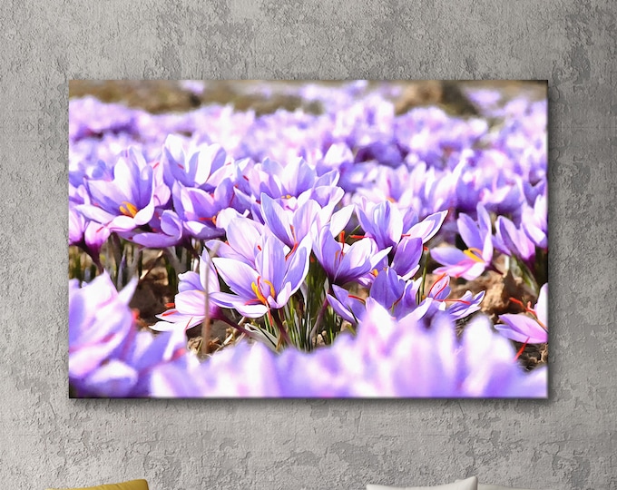 Crocuses flowers canvas, Flowers painting, Large art printing, Birthday gift, Interior decor, Gift for her, Bedroom decor, Home decor, Gift