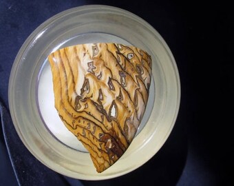 25% OFF Sale Hell's Canyon Petrified Wood Cabochon