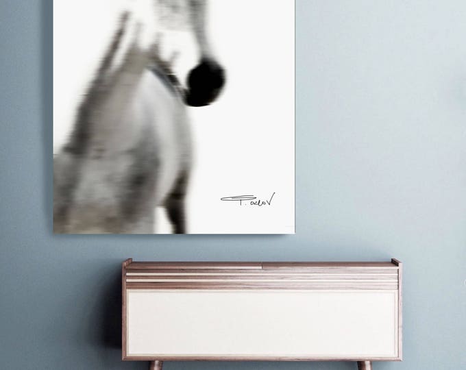 White Horse 4. Extra Large White Blur Contemporary Horse, Large Contemporary Canvas Art Print up to 72" by Irena Orlov