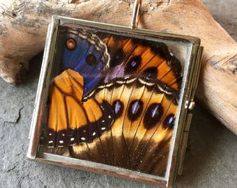 Purple Diadem Butterfly Wing Pendant