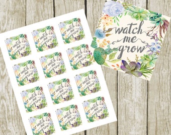 Watch Me Grow Tags. 2" Square Tags, Baby Shower Boy Succulent Favor Tags, Digital File, Blue Succulent Favor Shower Tags. Instant Download.