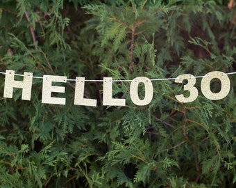 30th birthday banner | Etsy
