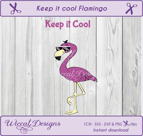 Download Flamingo svg keep it cool boys svg Summer svg flamingo