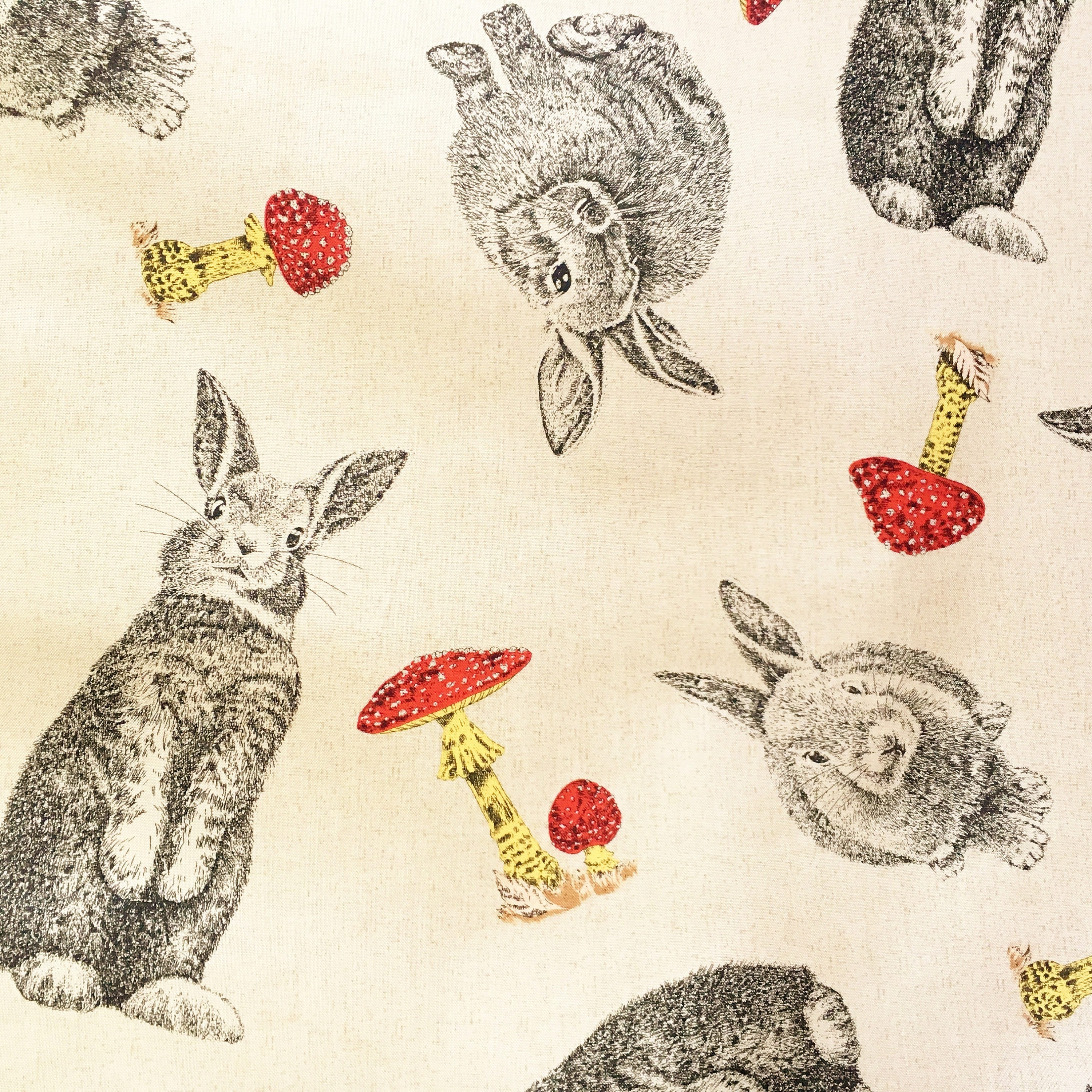 Rabbit fabric rabbits & toadstools bunny fabric country