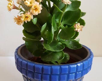 Mosaic flower pot, rustic indoor planter, kitchen herb pot, mosaic garden art, handmade patio container, deck decor