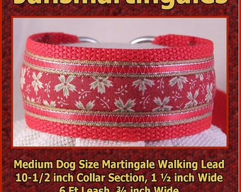 Jansmartingales, Collar and Leash Combination Walking Lead, Whippet, Medium Dog Size, wred104