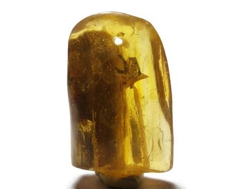 P73 / natural amber pendant