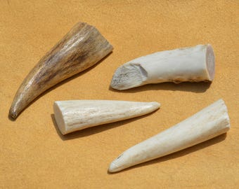 Elk Antler Tip Lot of 4