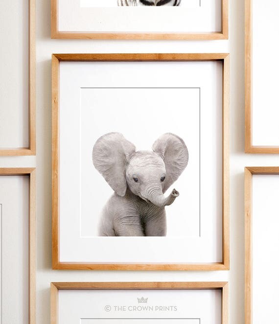 Safari nursery art Elephant print PRINTABLE art Safari