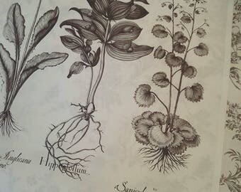 100% cotton tea towel made in Canada with Botanical Design