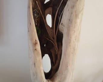 Sculpture lumineuse naturelle de bois flotté provenant de la mer diffusant une variation de couleur