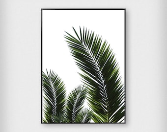 Three Leaves Print | Botanical | Green | Tropical - Palm Tree - Poster
