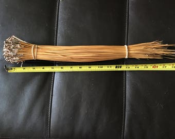 Florida Long leaf pine needles