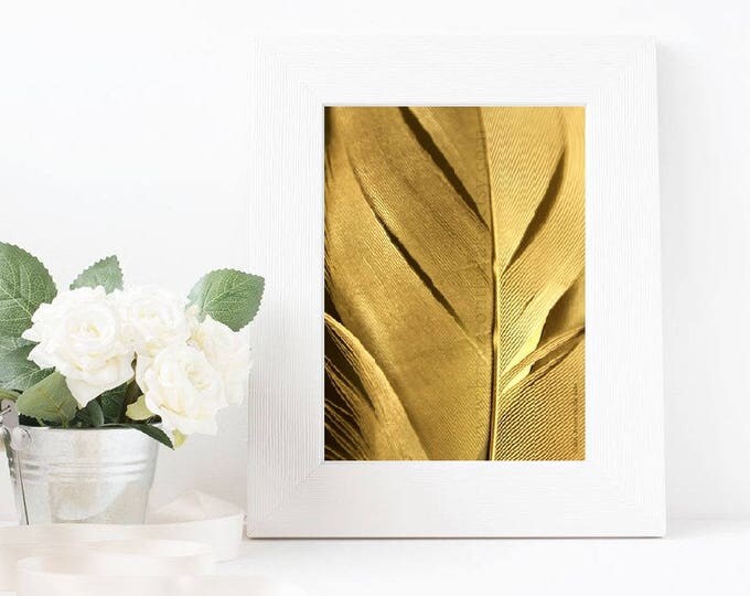 Printable art, feather, digital download, wall art, nature art, bird decor, digital files