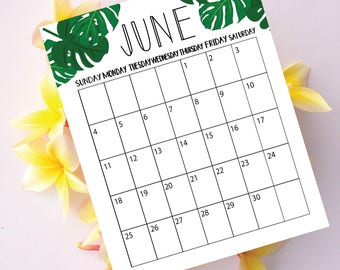 Wall Calendar 2017, Printable Calendar, Printable, Calendar 2017, Calendar, Desk Calendar, Tropical Leaf, Monstera, 2017, Wall Decor