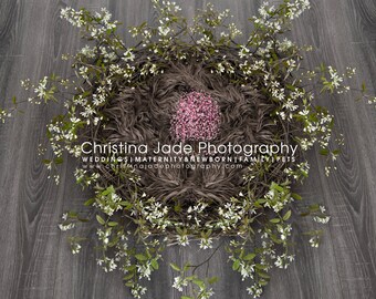 Blossom Nest Newborn Digital Background
