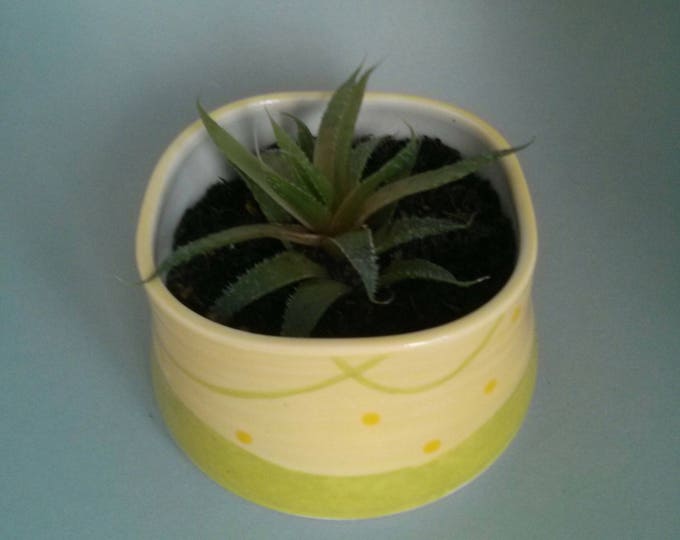 Planter, pottery planter, succulent planter, small plant pot, container, yellow planter, pottery plant pot, cactus plant pot, ceramic bowl