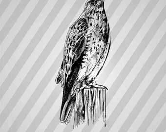 Eagle Silhouette - Svg Dxf Eps Silhouette Rld RDWorks Pdf Png AI Files Digital Cut Vector File Svg File Cricut Laser Cut