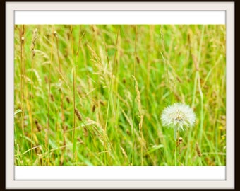 Green Flowery Outdoors Field- DIGITAL DOWNLOAD
