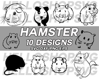 Download Guinea pig clipart | Etsy