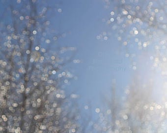 Bokeh Digital Download Tree Photography Winter Wall Art Decor Bokeh Digital Download Tree Photography Winter Wall Art Decor