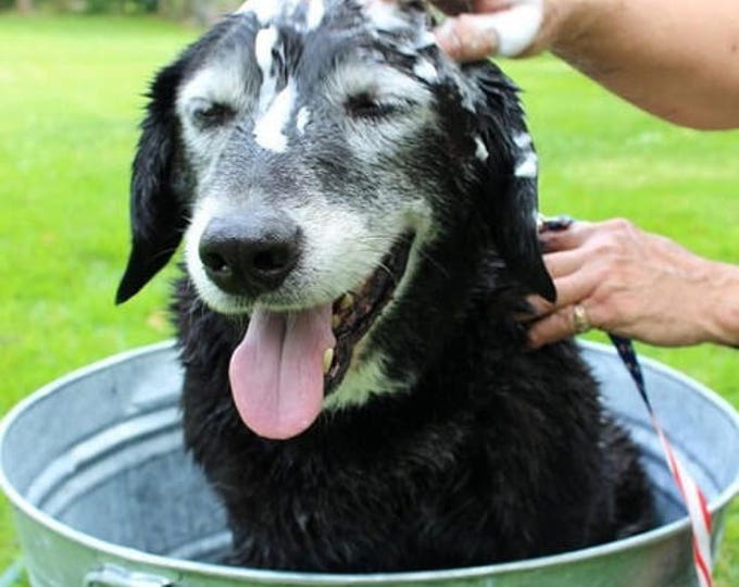 Natural Pet Conditioner - Pet Grooming - Dog and Cat Conditioning Treatment - Organic Pet Care