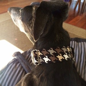 Buyer photo Tiffany Dryburgh, who reviewed this item with the Etsy app for iPhone.