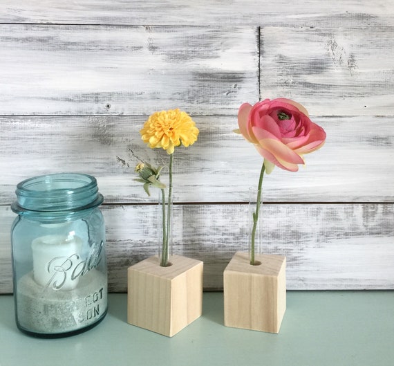 Test Tube Bud Vases DIY do it yourself small vases