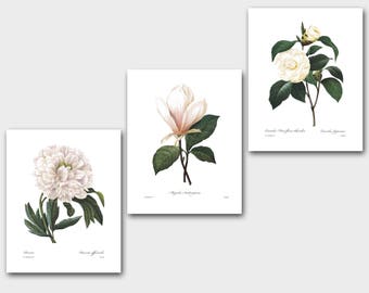 Botanical Print Set SALE (White Room Decor, White Flower Art, White Nursery Decor, White Wall Art) Redoute Set of 3 Prints