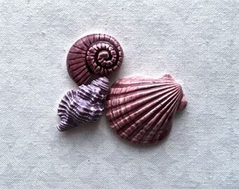 RESERVED HA Three Lovely Shells - Ceramic Tiles - Mosaic Supply