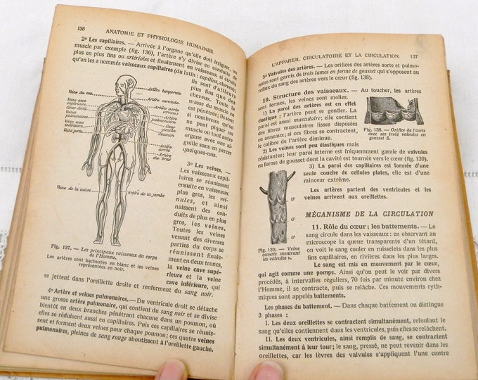 Vintage French School Biology / Natural Science Text Book with lots of Illustrations and Photographs Published by Hachette in 1940, France