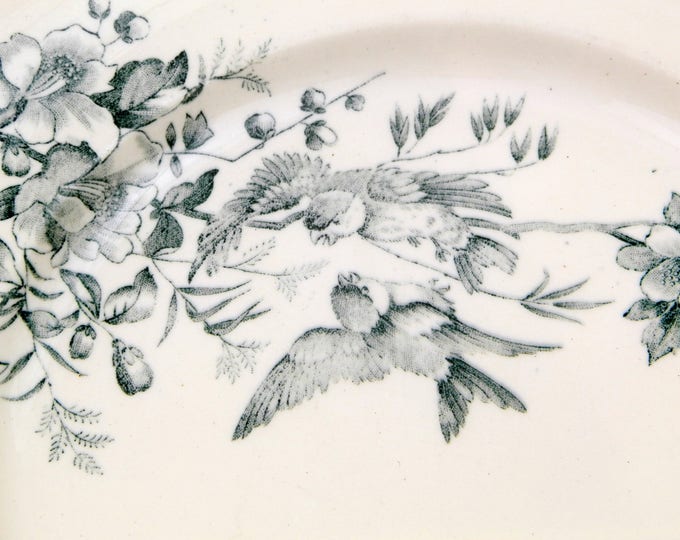 Antique French Ceramic Bird Pattern Plate, Dark Blue on White Blue Tits with Wild Rose Design, Victorian Decorative Dinnerware