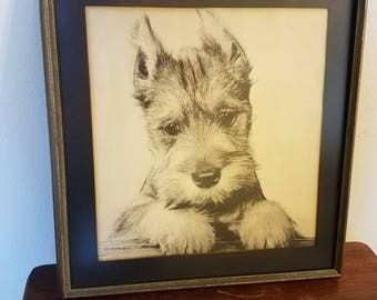 Vintage Well Done Framed Linen Black and White Photograph of a Schnauzer Puppy