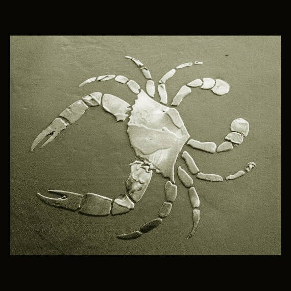 wall stencil plaster stencil furniture stencil crab
