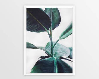 Tropical plants | Etsy