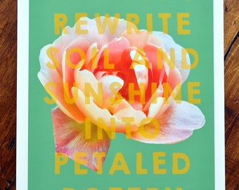 Floral art print - 'Guillemets Rose'