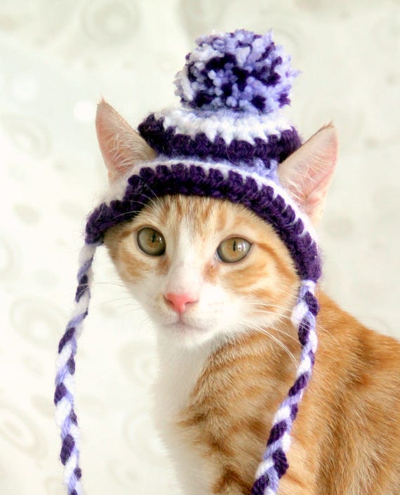 Hat For Cats Toboggan Cat Hat Beanie For Cast & Kittens Cat