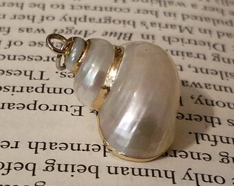 Little mermaid style Ursula's Necklace Shell Pendant
