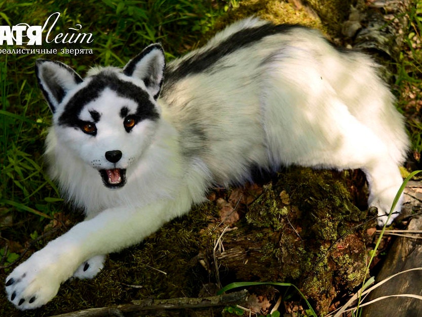 canadian marble fox plush