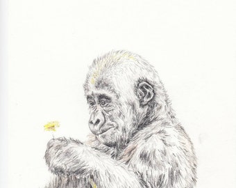 Baby animal print for nursery - Gorilla (digital download)