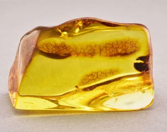 HONEY Polished Souvenir Genuine Baltic Amber Stone 27.7g