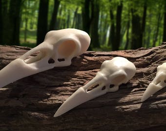 Raven skull available in 3 sizes