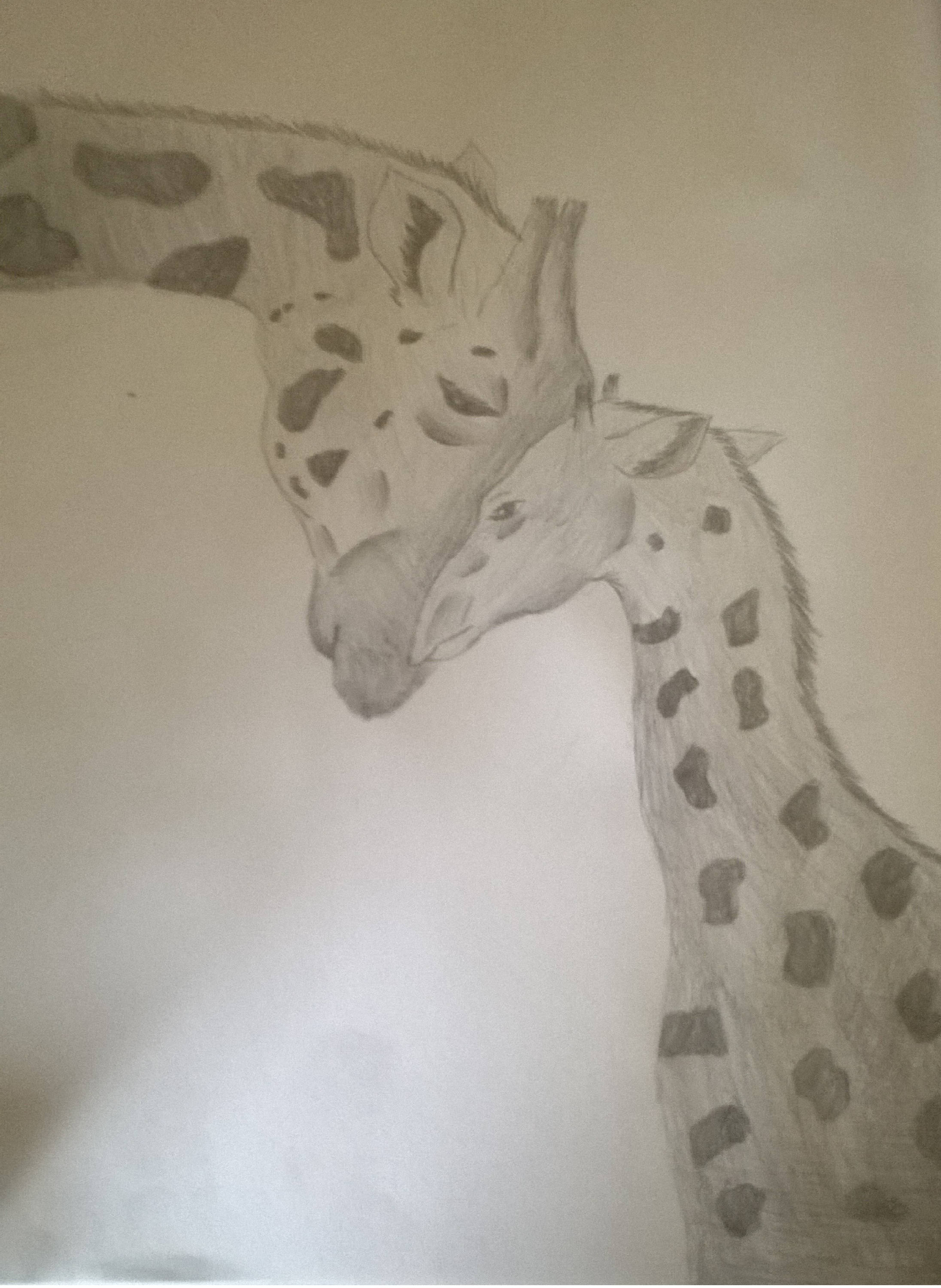 Mother Giraffe and Baby