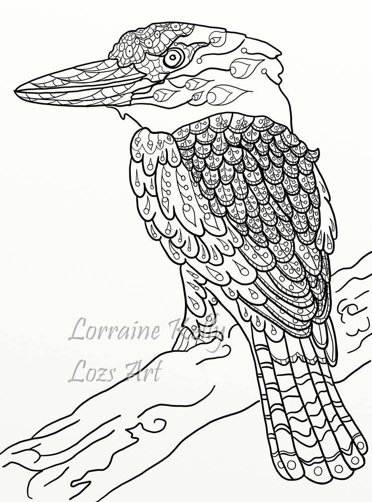 Download 12 Australian Birds Adult Coloring Pages PDF Downloadable