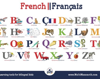 FRENCH ALPHABET FLASHCARDS with Pronunciation on Audio